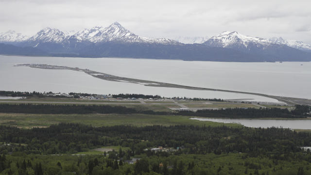 Alaska Fatal Moose Attack 