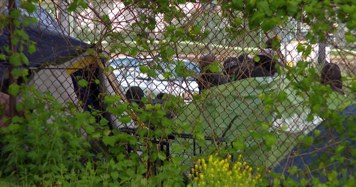 ‘No one is helping:’ residents living near a Minneapolis encampment at their wits end