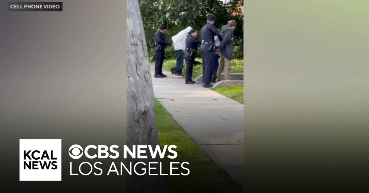 Rancho Park neighbors frustrated by rise in crime in usually quiet ...