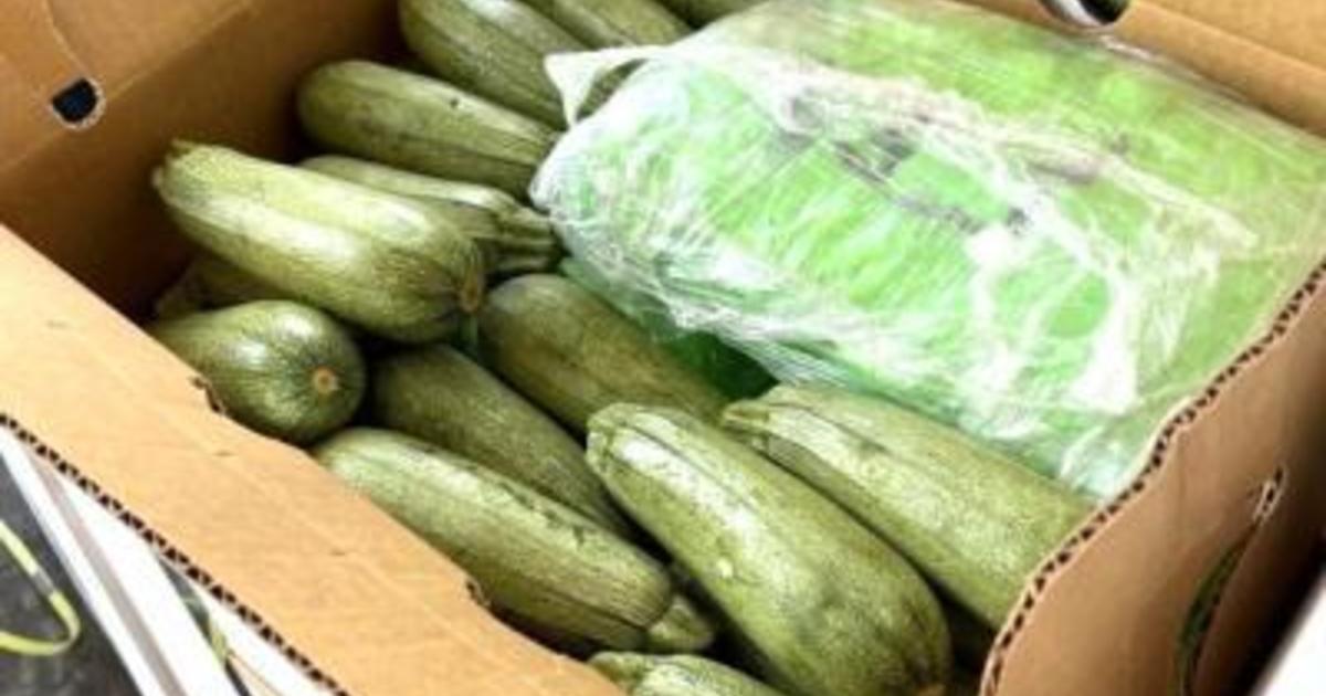 Dogs help detect nearly 6 tons of meth hidden inside squash shipment in California