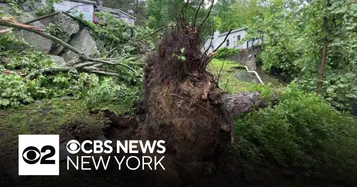 Storms take down trees across Greenwood Lake in Orange County, New York ...