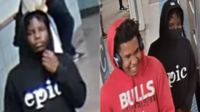 robbery-suspects-cta-red-line.png 