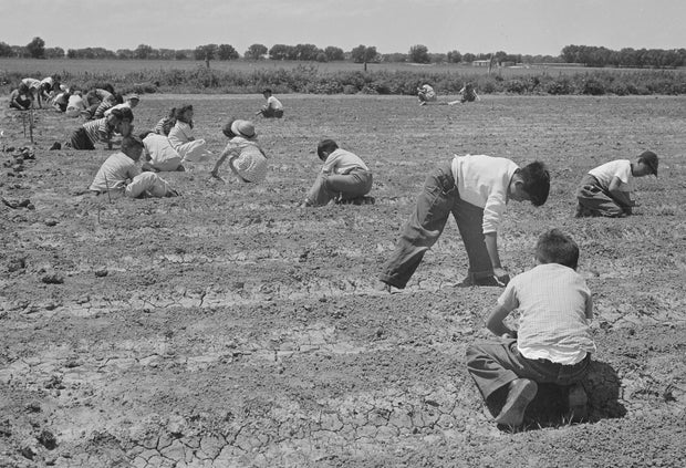 20-2641m-cropped.jpg