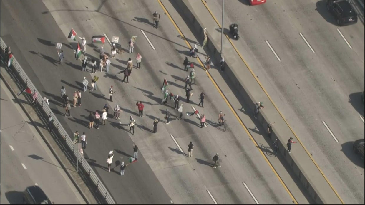 Pro-Palestinian protesters march onto 101 Freeway in Downtown Los ...