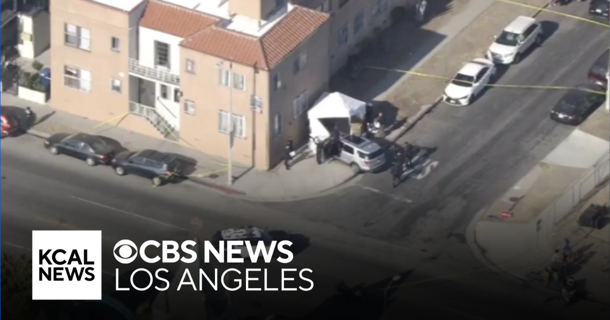 Pedestrian trapped and killed after car slams into South LA building ...