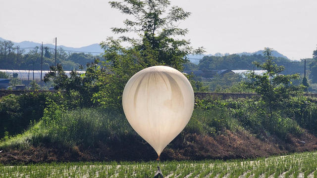A balloon believed to have been sent by North Korea, carrying various objects including what appeared to be trash and excrement, is seen over a rice field at Cheorwon 