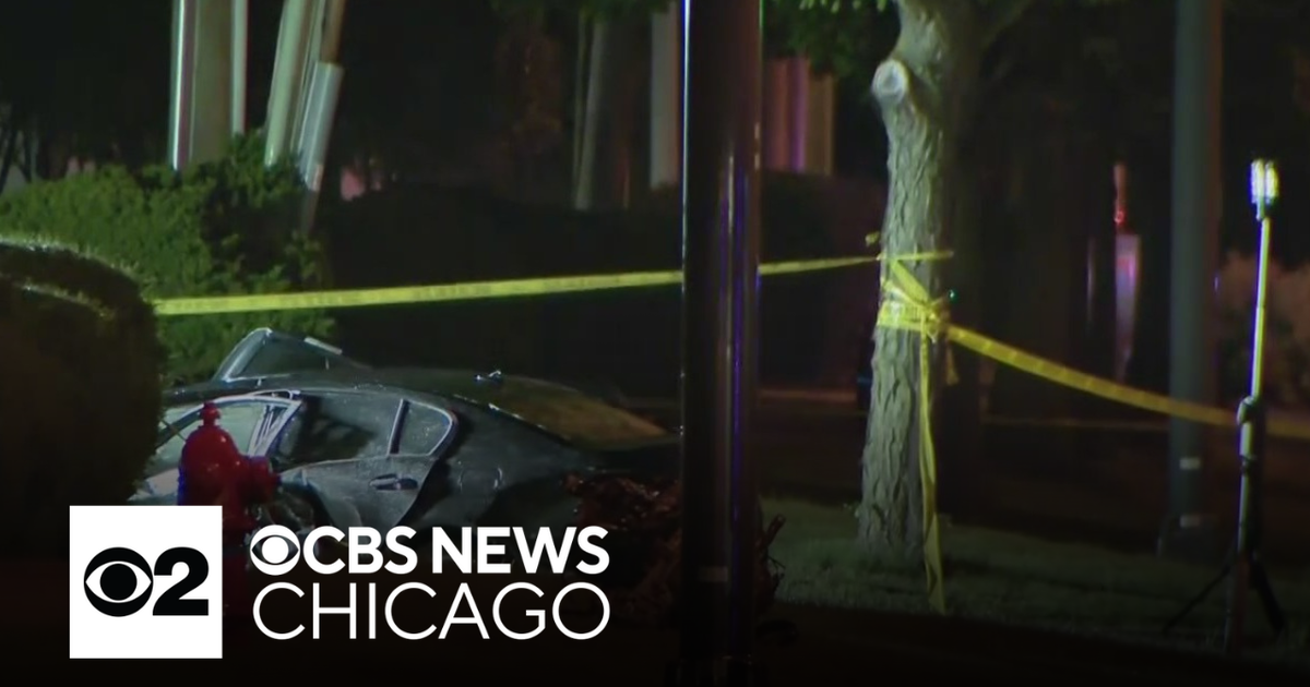 Mother of 5 killed in suburban Chicago car crash - CBS Chicago