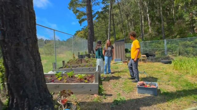 Terra Nova HS Pacifica community garden 