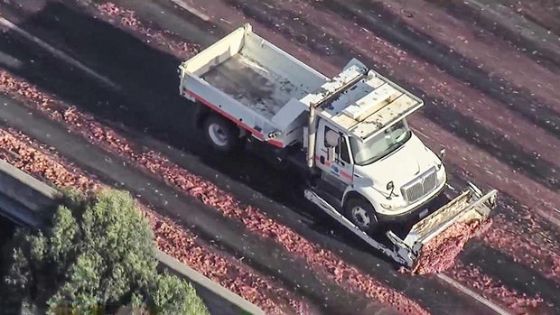 Meat Spill Cleanup