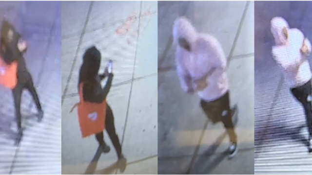 vandalism-suspects-wanted-for-questioning-ppd.png 