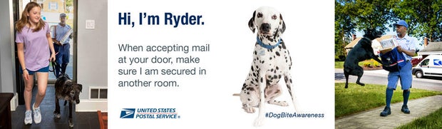 dog bite collage-2024.jpg