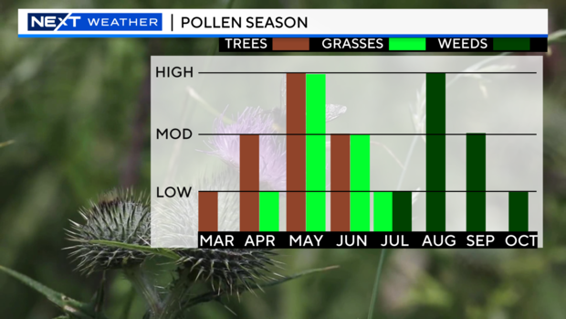 2023-pollen-seasons.png 