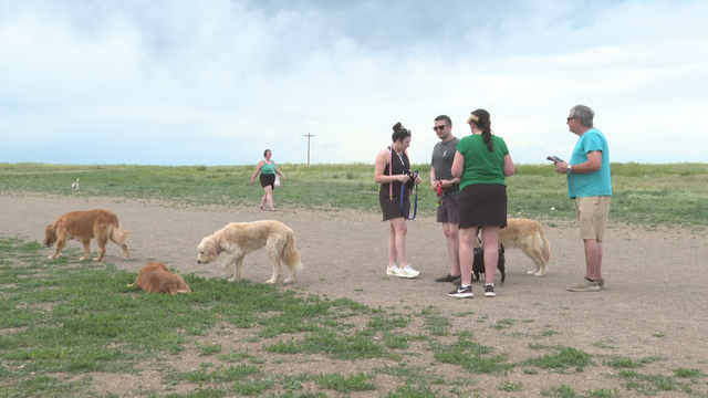 westminster-hills-dog-park-10pkg-frame-2690.png 