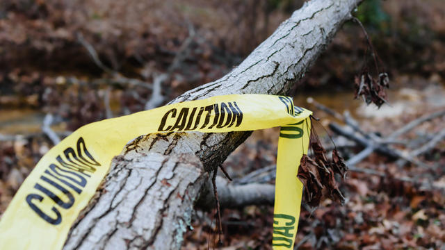 Caution Tape on Fallen Tree After Storm 
