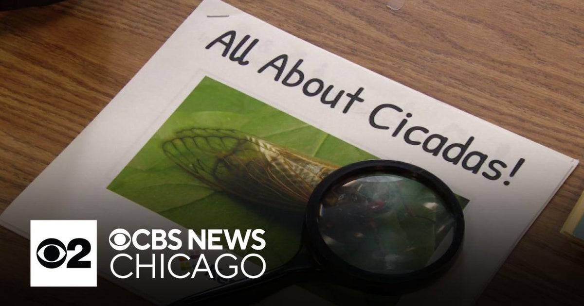 School for special needs students helps kids cope with roar of cicadas