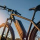 Maryland DNR considering opening state trails to e-bikes 