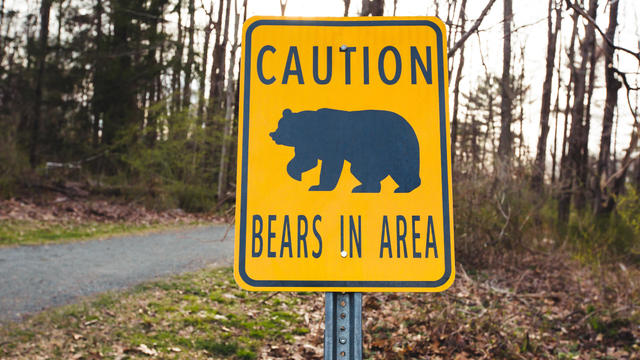 Bear Sign, Wildlife Crossing Sign, Bear Warning Sign 