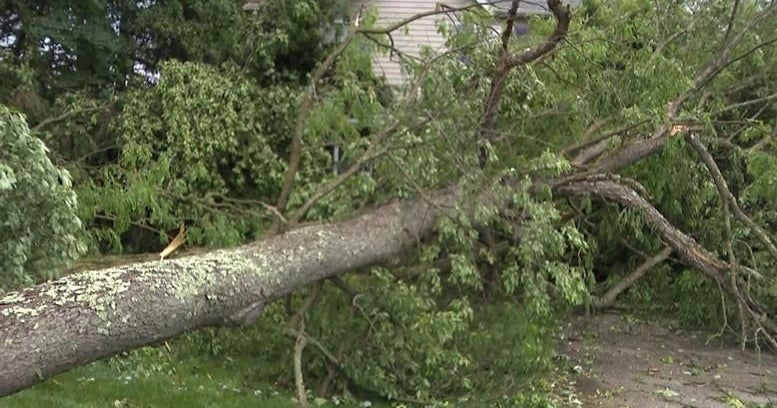Maryland tornadoes and severe storms left behind damage in Carroll County neighborhoods: "This is total devastation" - CBS Baltimore