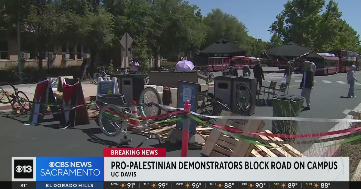 Pro-Palestinian demonstrators blockade street at UC Davis