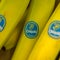Chiquita found liable by U.S. jury for killings by Colombian terrorists