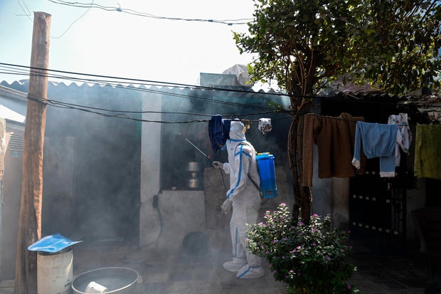 印度-健康-禽流感