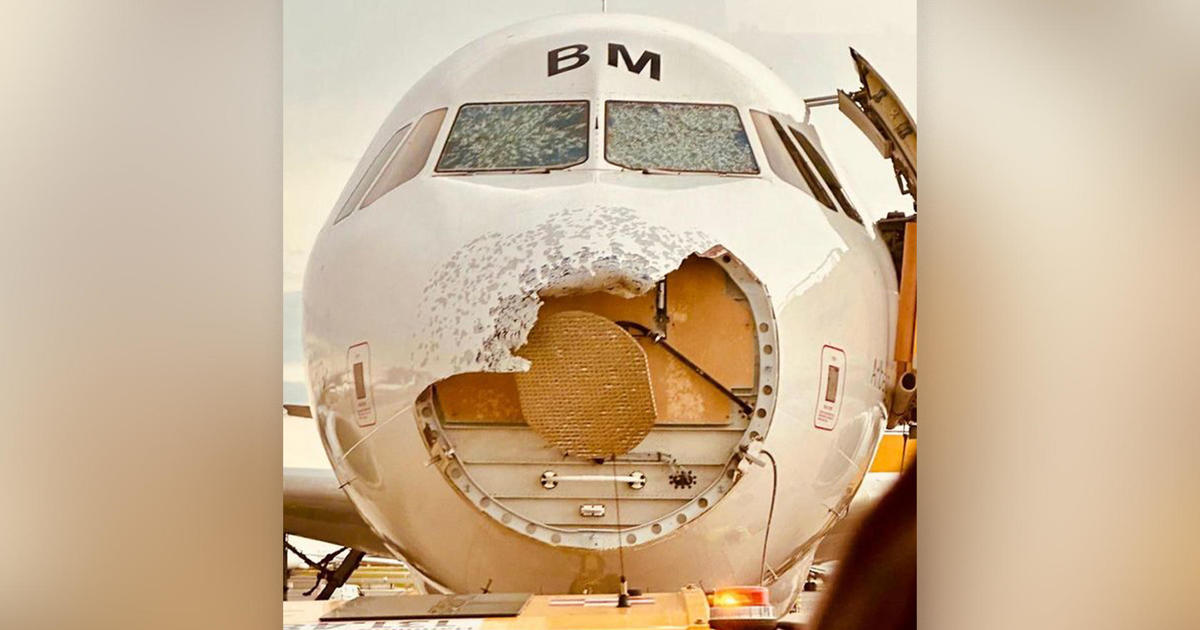 It only takes 5 seconds of hail to damage an airplane mid-flight, expert says. Photos show how destructive it can be.
