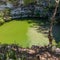 DNA shows ritual sacrifice of boys in ancient city, scientists say