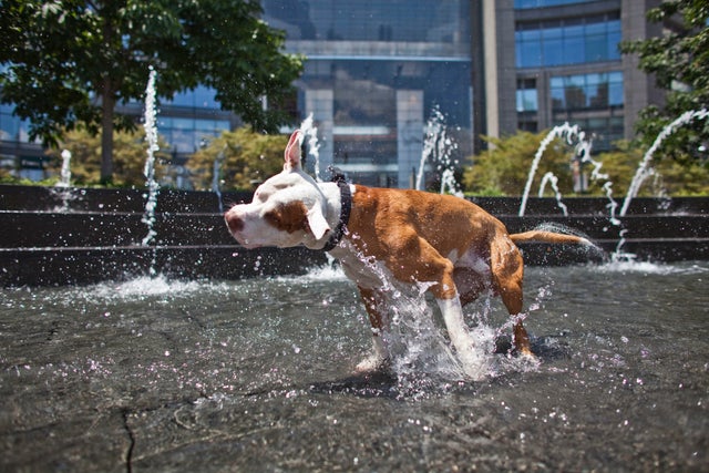 Heat Wave Brings Temperatures Into Upper 90's In New York City 