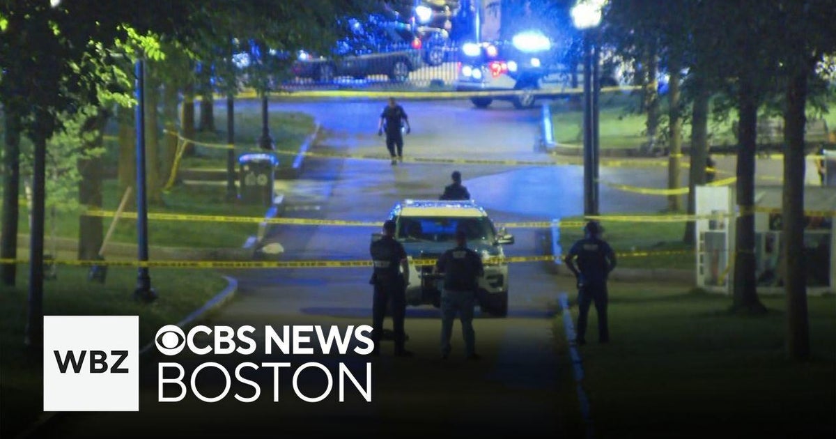 Violence on Boston Common concerns business owners - CBS Boston