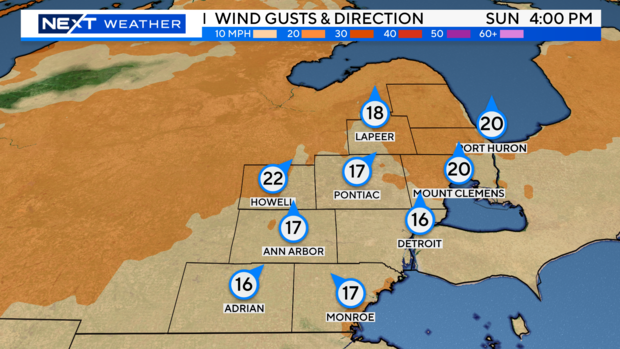 futurecast-wind-gust-and-direction.png 