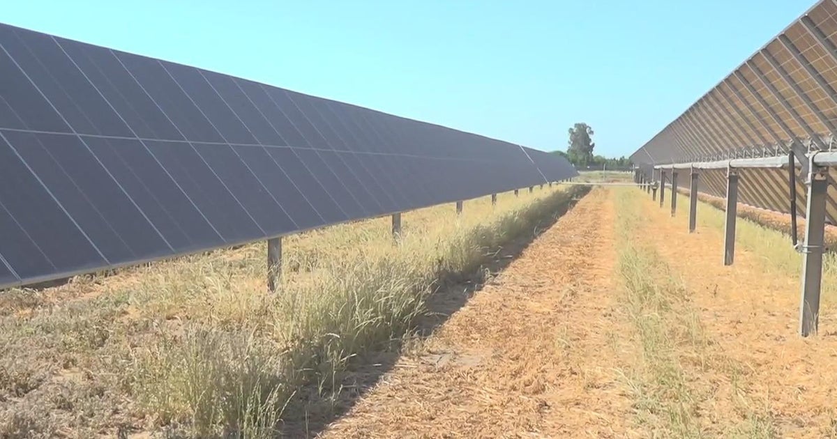 Lodi dairy farmer gets approval for solar panel system. Why did it take so long?