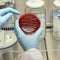 What to know about the deadly bacterial infection spreading in Japan