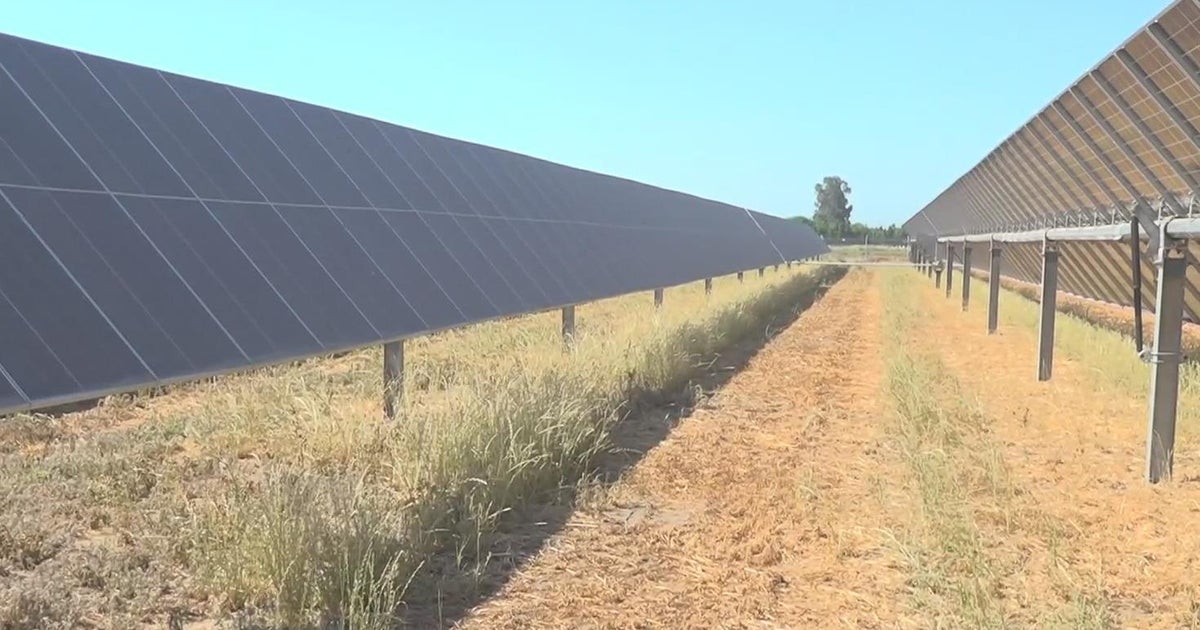 Lodi dairy farmer gets final solar inspection after CBS13 presses PG&E for answers