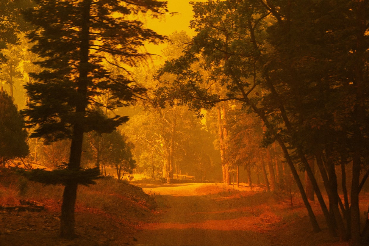 Smoke from the South Fork Fire covers the sun, casting an orange light across the Lincoln National Forest at Cedar Creek, in Ruidoso, New Mexico, June 17, 2024. 