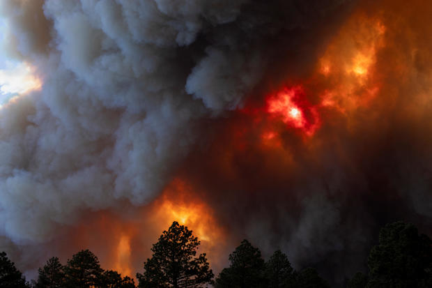 Smoke plumes from the South Fork Fire rise above the tree line as the fire progresses from the Mescalero Apache Indian Reservation to the Lincoln National Forest forcing mandatory evacuations in Ruidoso, New Mexico, on June 17, 2024. 