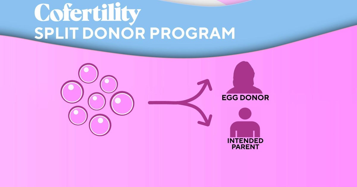 Innovative program offers free egg freezing for egg donations CBS News