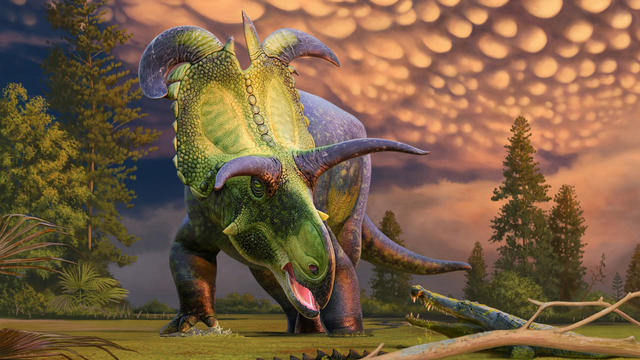 lokiceratops.jpg 