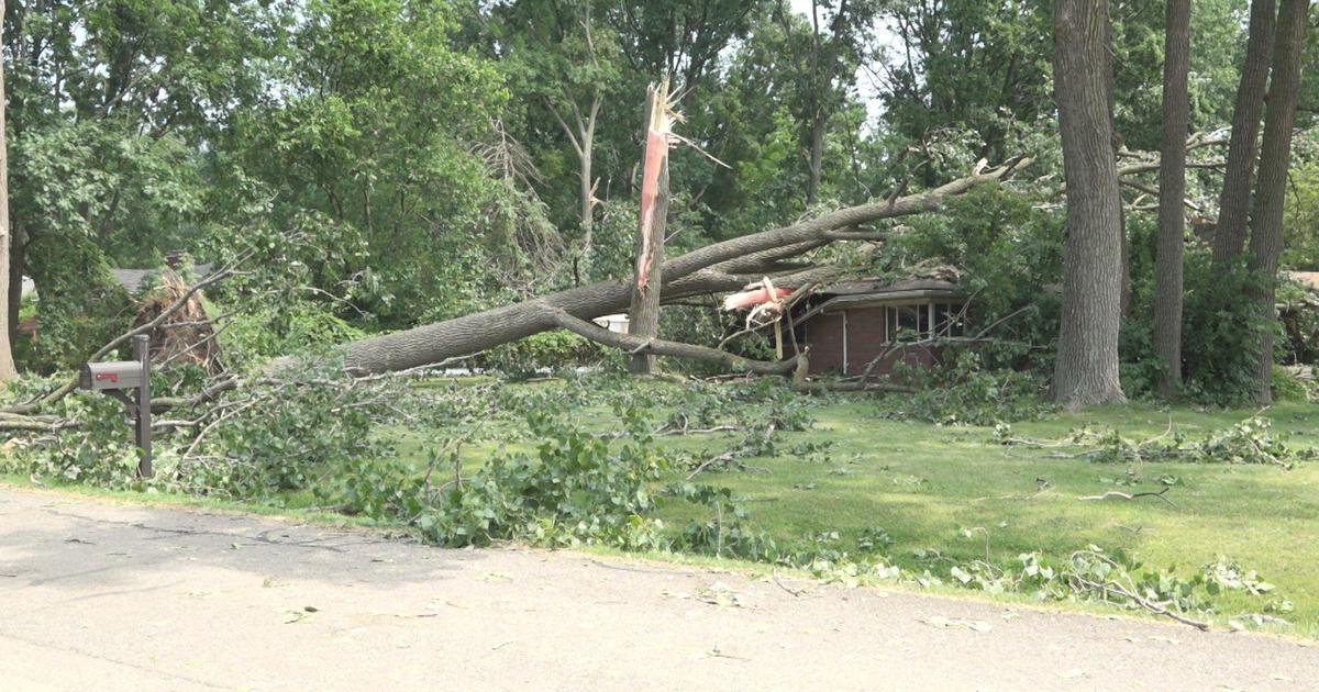 Cleanup efforts have begun following devastating storms in parts of southeast Michigan