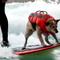 Legendary surfing dog helps people overcome challenges by riding waves