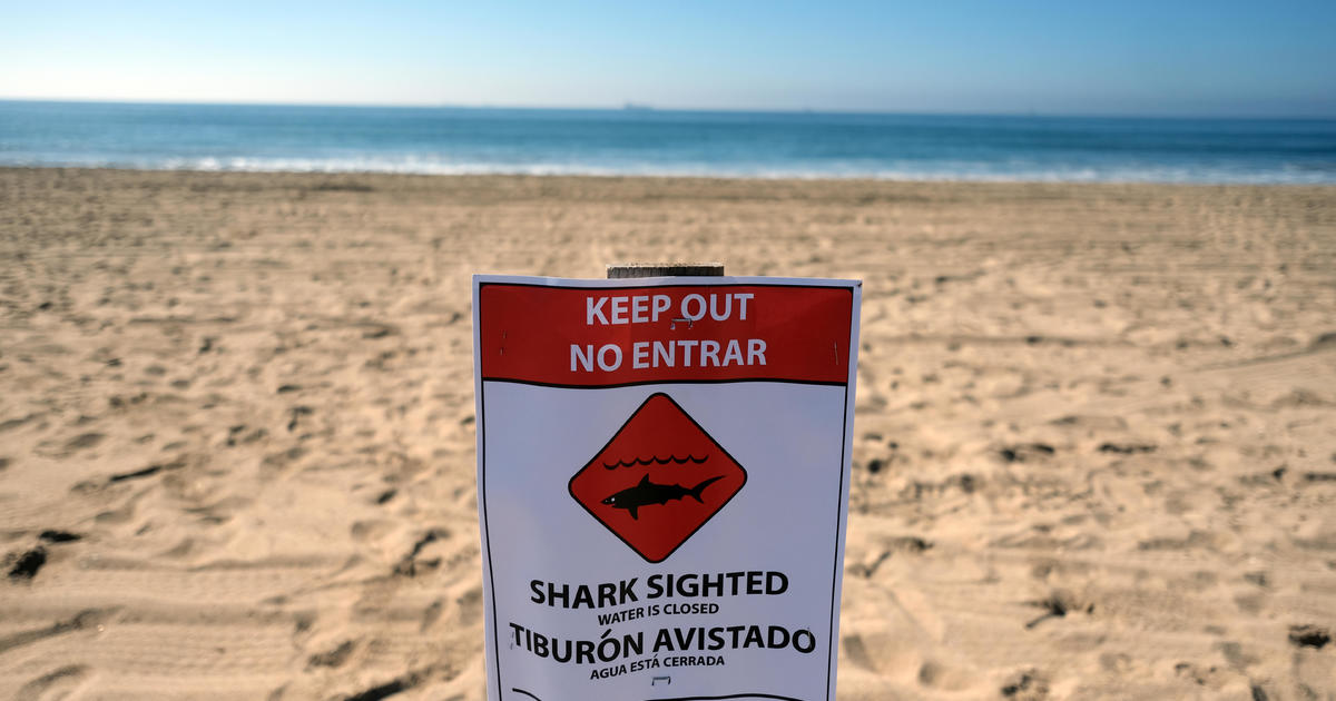 At least 2 swimmers bitten by shark off Texas' South Padre Island
