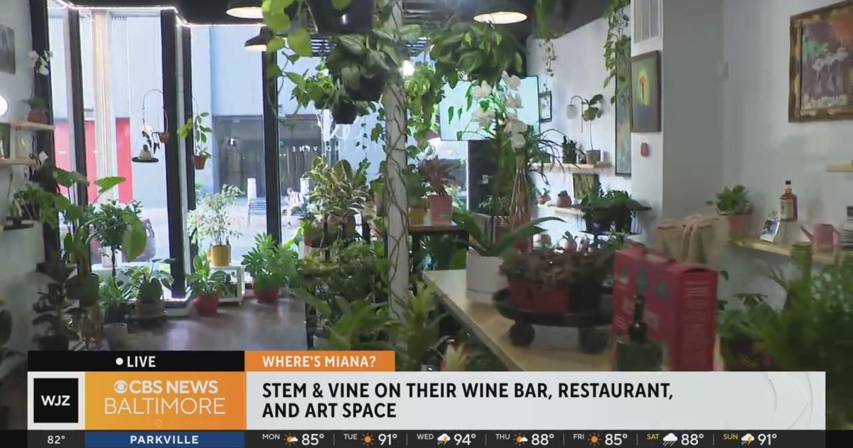 Stem and vine does it all as a wine bar restaurant and art space