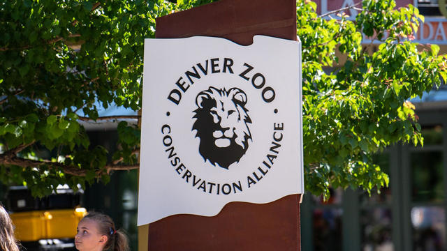 denver-zoo-conservation-alliance.jpg 