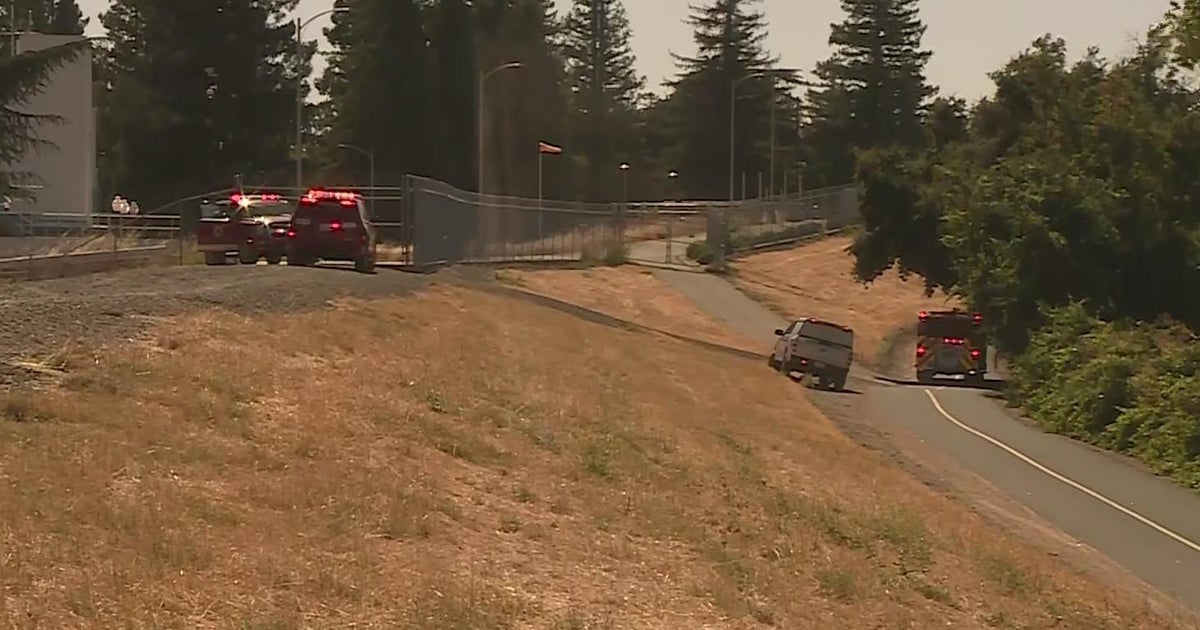 Grass fire extinguished along La Riviera Drive in Sacramento County, person of interest detained