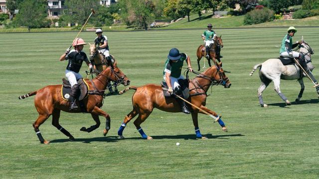 polo-classic-1.jpg 