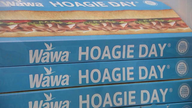 Wawa Hoagie Day 