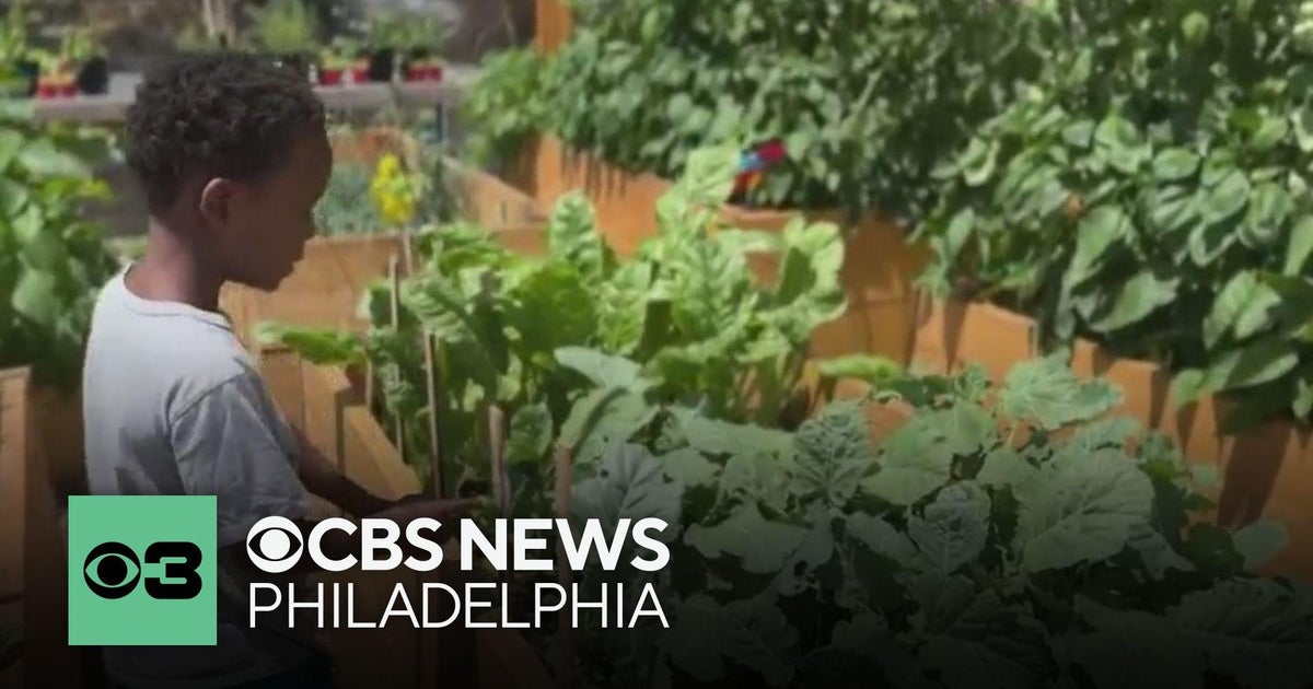 Nonprofit helps residents tackle food insecurity on the Main Line - CBS ...