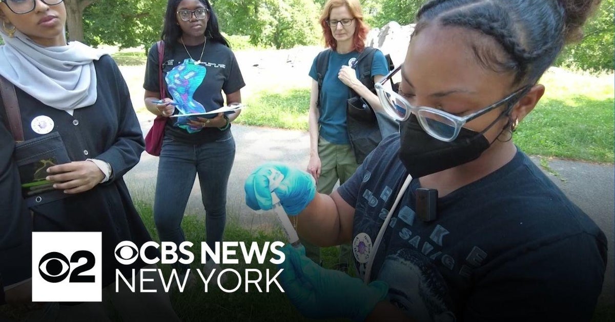 "Virus hunters" are searching for bird flu in NYC - CBS New York