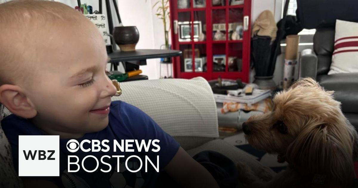 Runner and biker donate to Boston hospital to treat Sarah Wroblewski’s son Declan