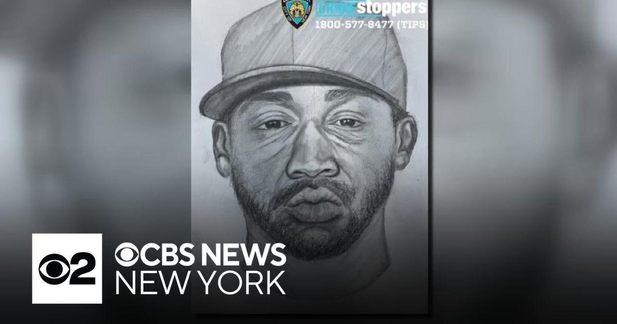 Person of interest in custody in Central Park sexual abuse