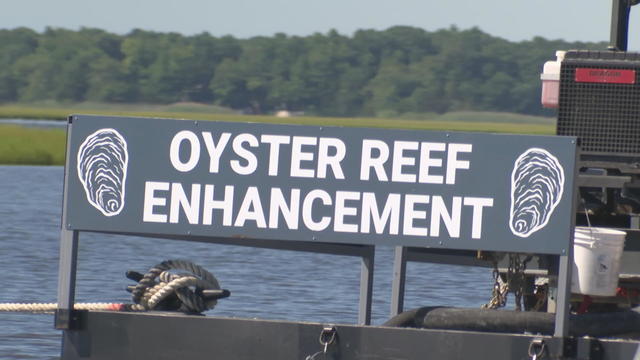 A boat out on the water has a sign that says Oyster Reef Enhancement 